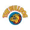 thebulldog