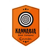 Royal Queen Seeds Tropicana Cookies Purple feminized cannabis seeds (5 seeds pack)